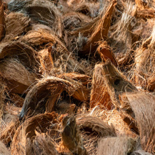 Coconut Husk Coconut Husk