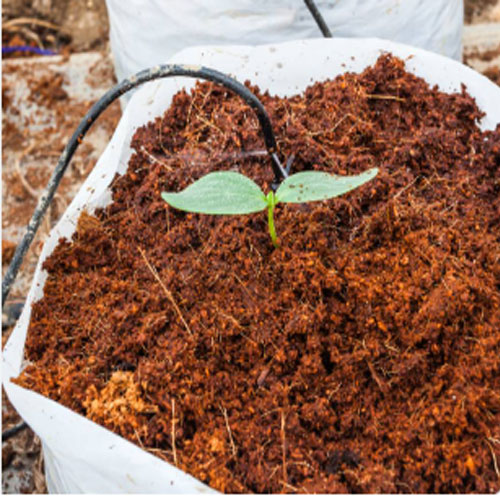 Cocopeat Cocopeat