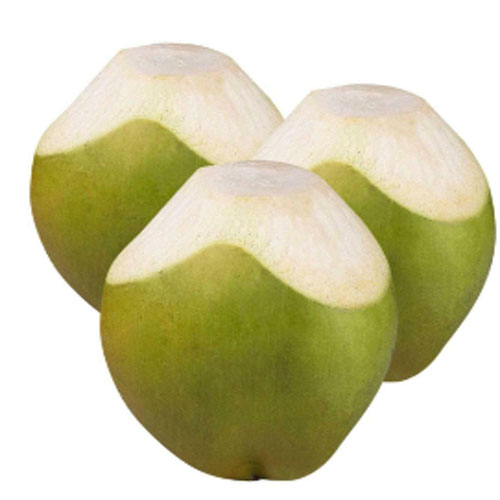 Tender Coconut Tender Coconut